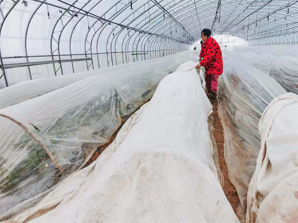 20230114 华缘旅游：多措施积极应对低温雨雪天气 (4).jpg