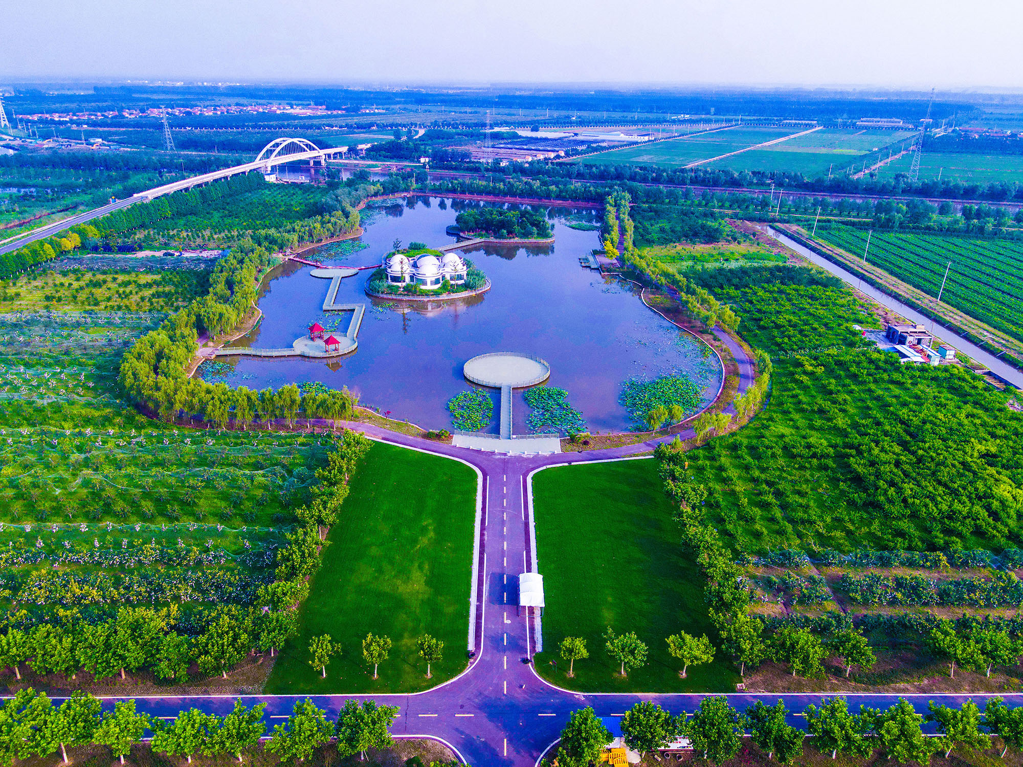 “云台农庄”：从田间到舌尖的品质保障 (1).jpg