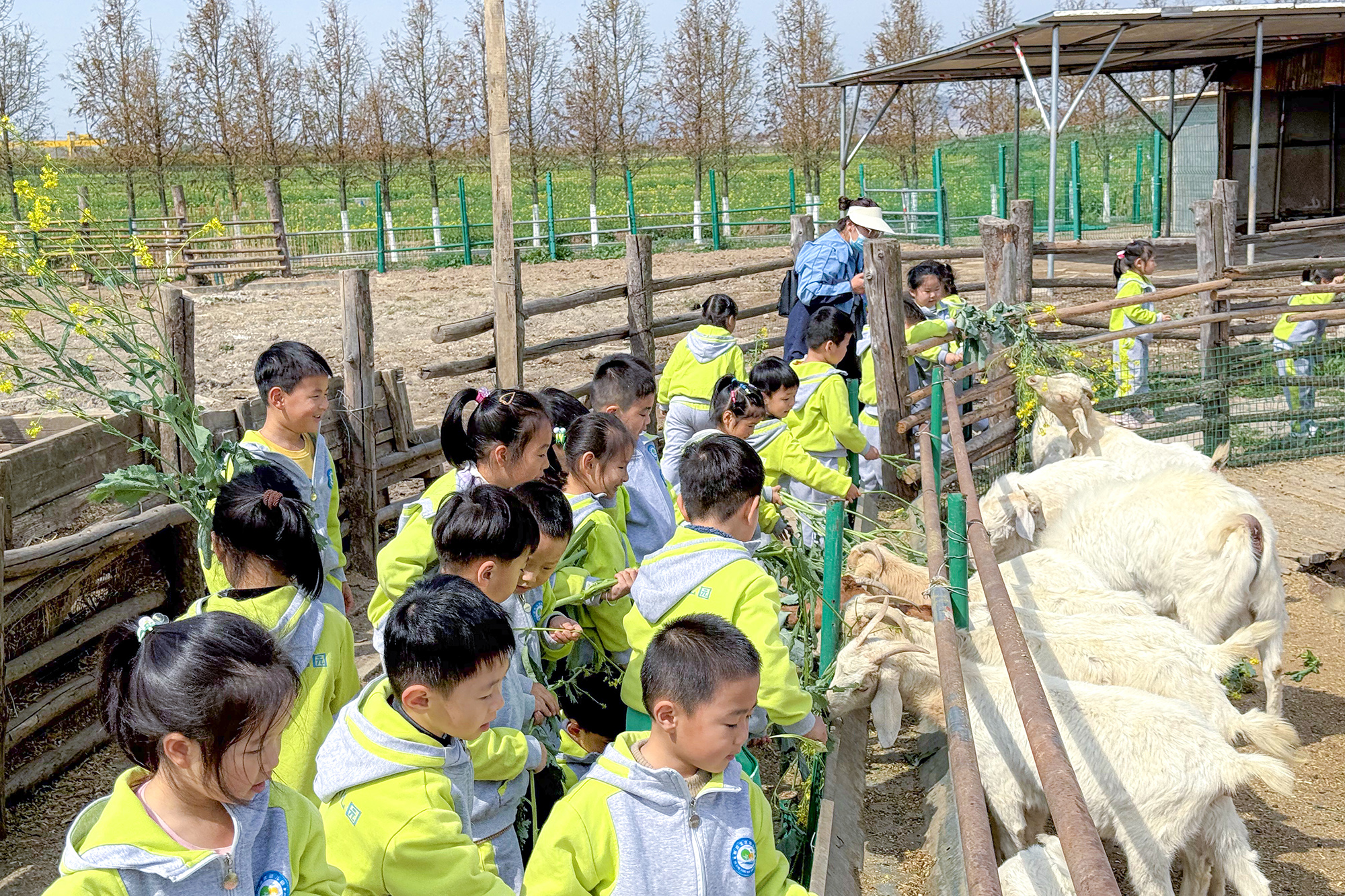 20250403 春日探趣 自然童行 (2).jpg