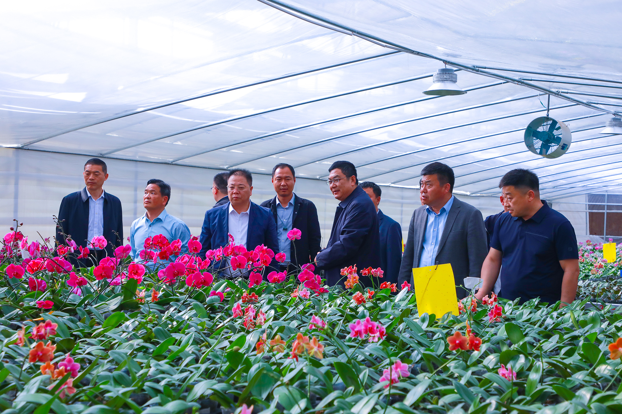 20250410 河南省农机农垦发展中心及黄泛区实业集团来云台考察交流 (2).JPG