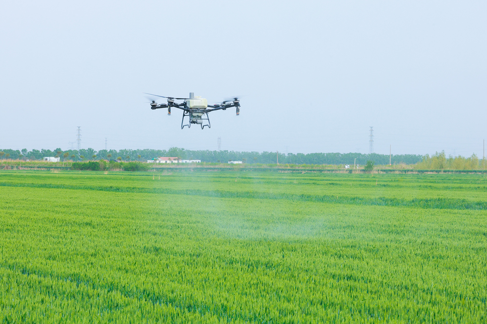 20250425 云台：无人机“飞防”助春耕 科技护麦展劳动精神 (2).JPG