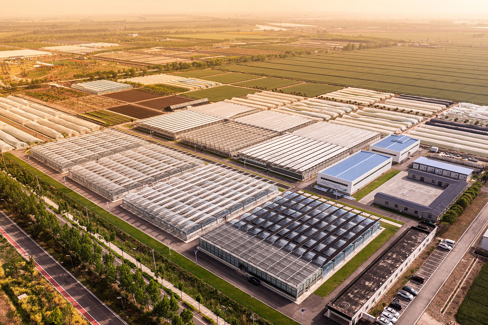 20250512 云台农场：以“专精特新”为核，打造种业振兴标杆 (1).jpg