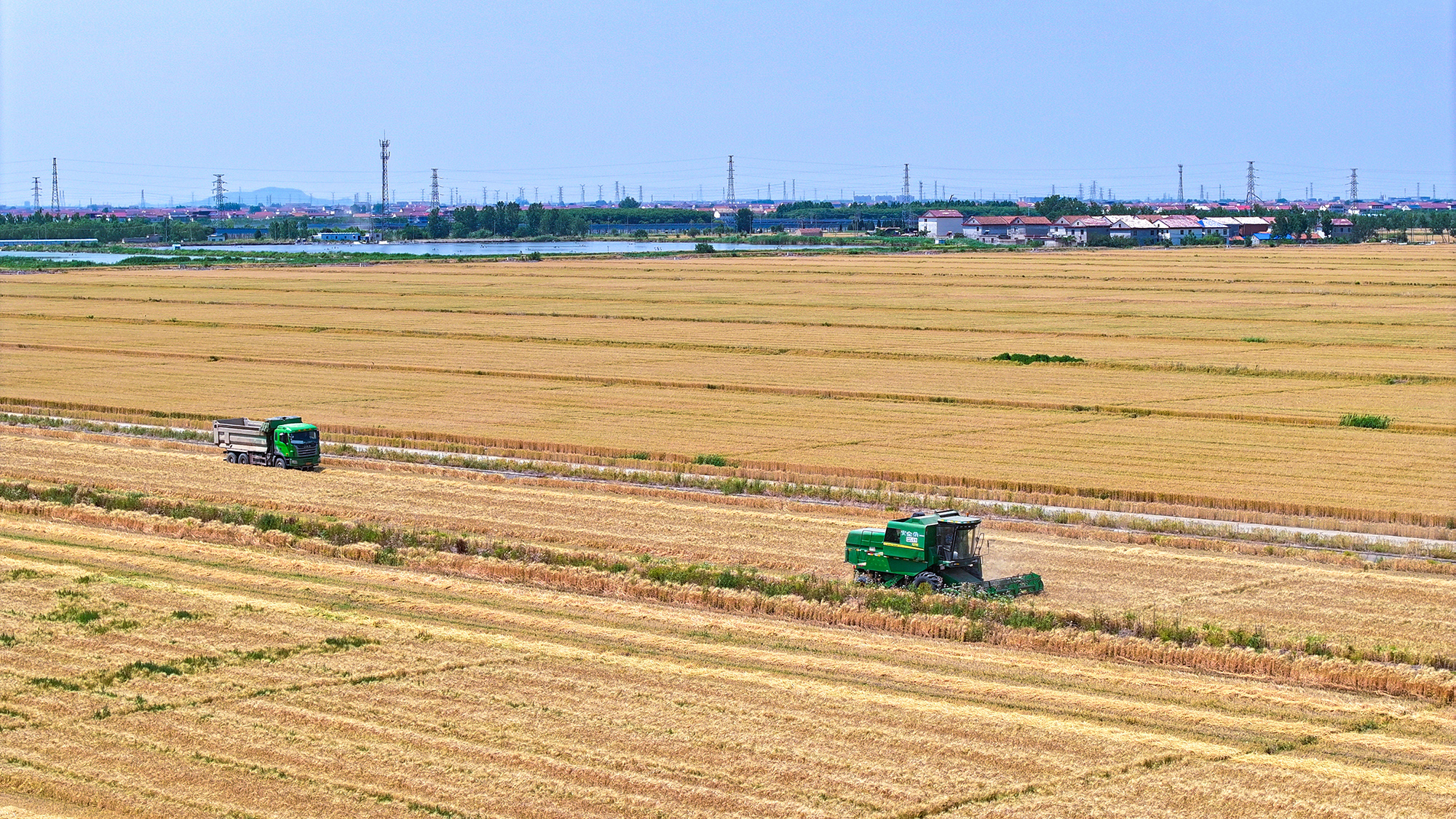 20250529 科技助力“三夏”开启“加速度” 广袤田野唱响丰收赞歌 (1).JPG