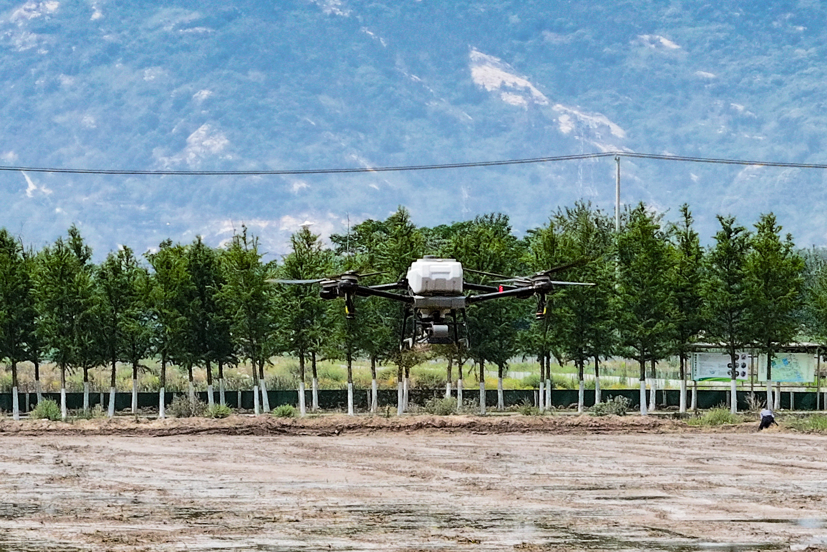 20250530 无人机直播水稻 云水湾“一田双收”（3）.JPG