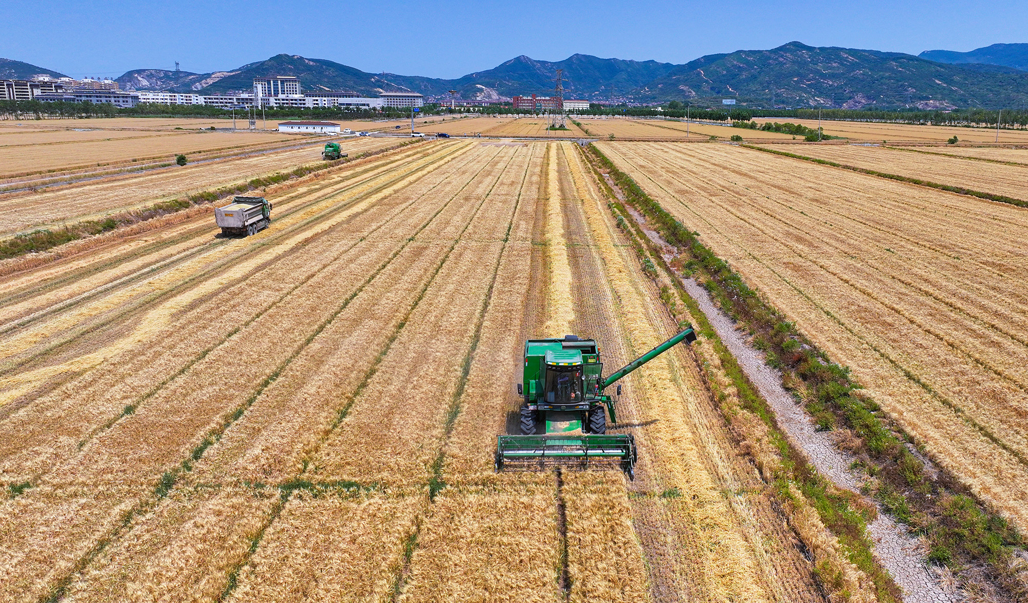 20250530 云台：筑牢秸秆禁烧 为“三夏”保驾护航 (1).JPG