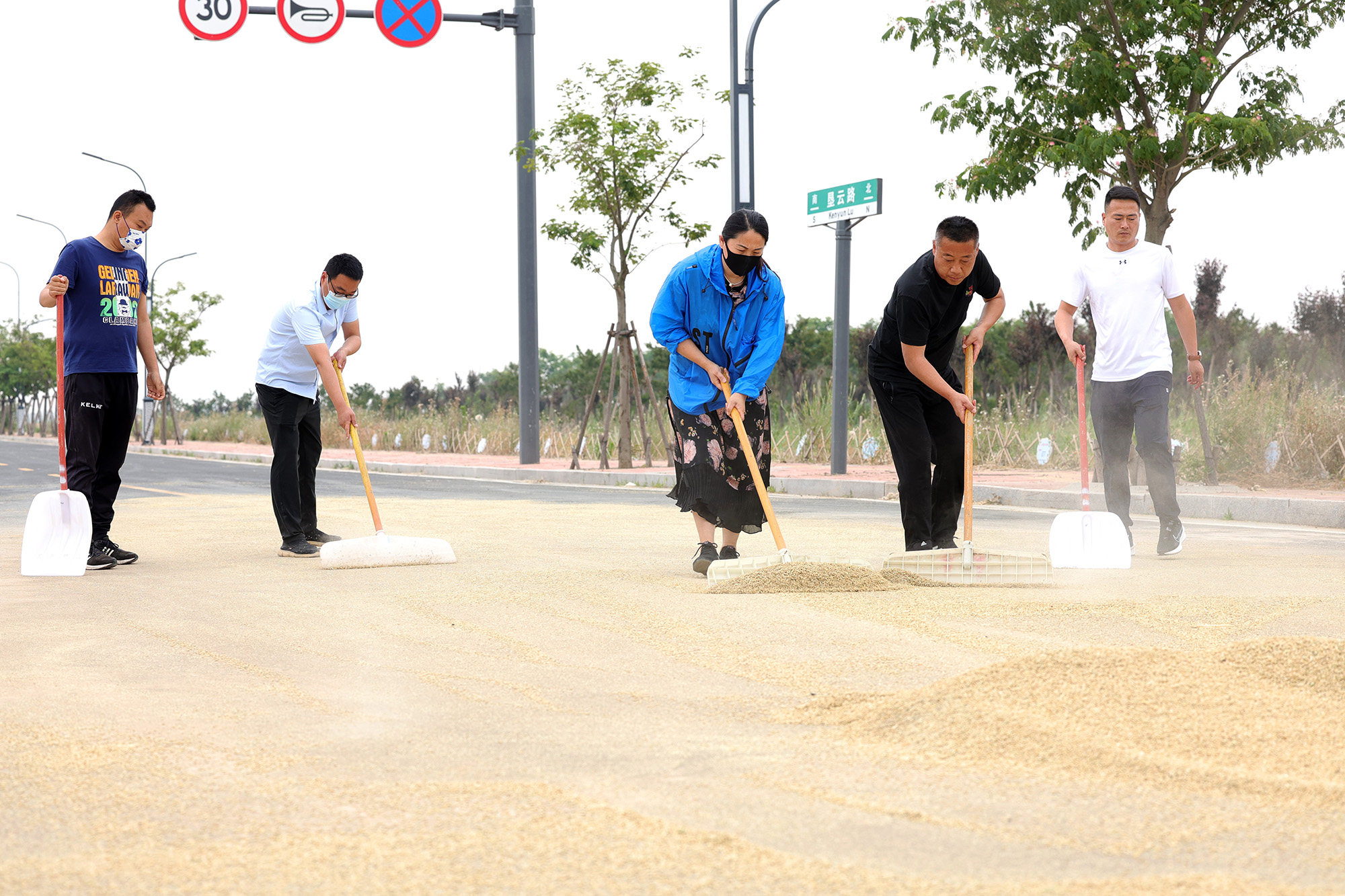 1749428912101033.jpg 党员志愿者 “三夏” 显担当,全力护航粮食丰收 (1).jpg