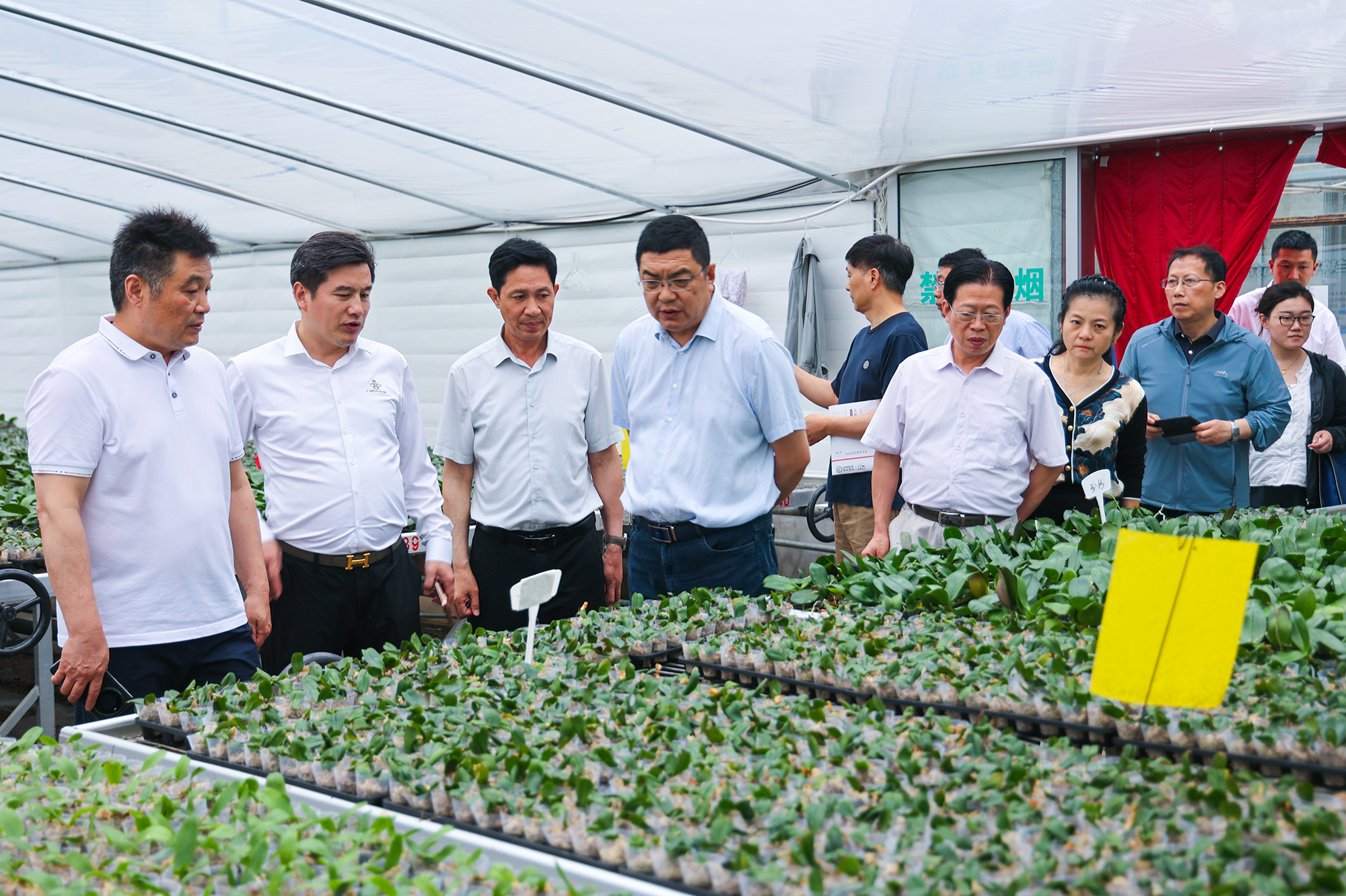 20250613 省城市发展研究院专家一行到云台调研 (3).JPG