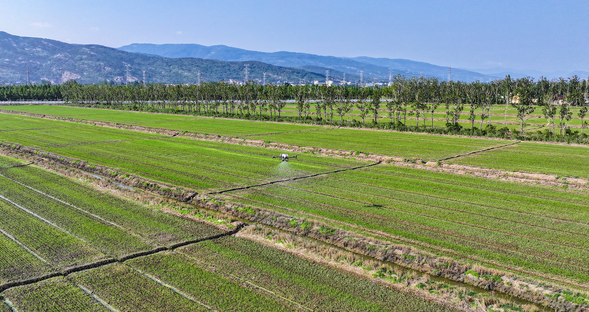 20250711 云台农场：智慧夏管 科技赋能稳产增效 (2).JPG