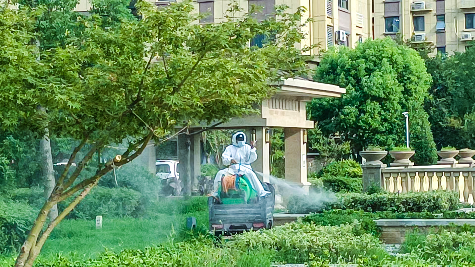 20250812 华泰物业凤凰星城项目开展全面消杀，守护小区环境卫生.jpg