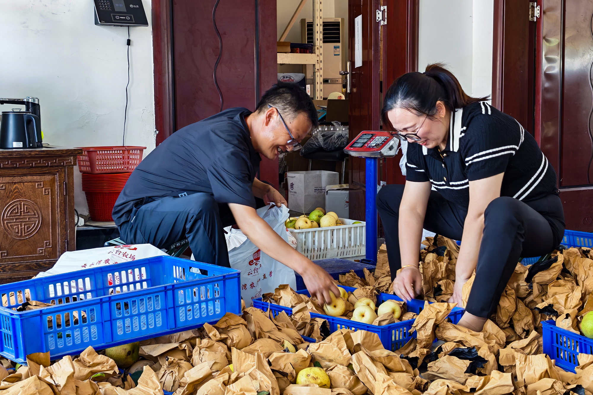 20250821 筐里装满“金疙瘩”！云水湾甜梨卖得快、身价涨，甜到跺脚！ (2).jpg