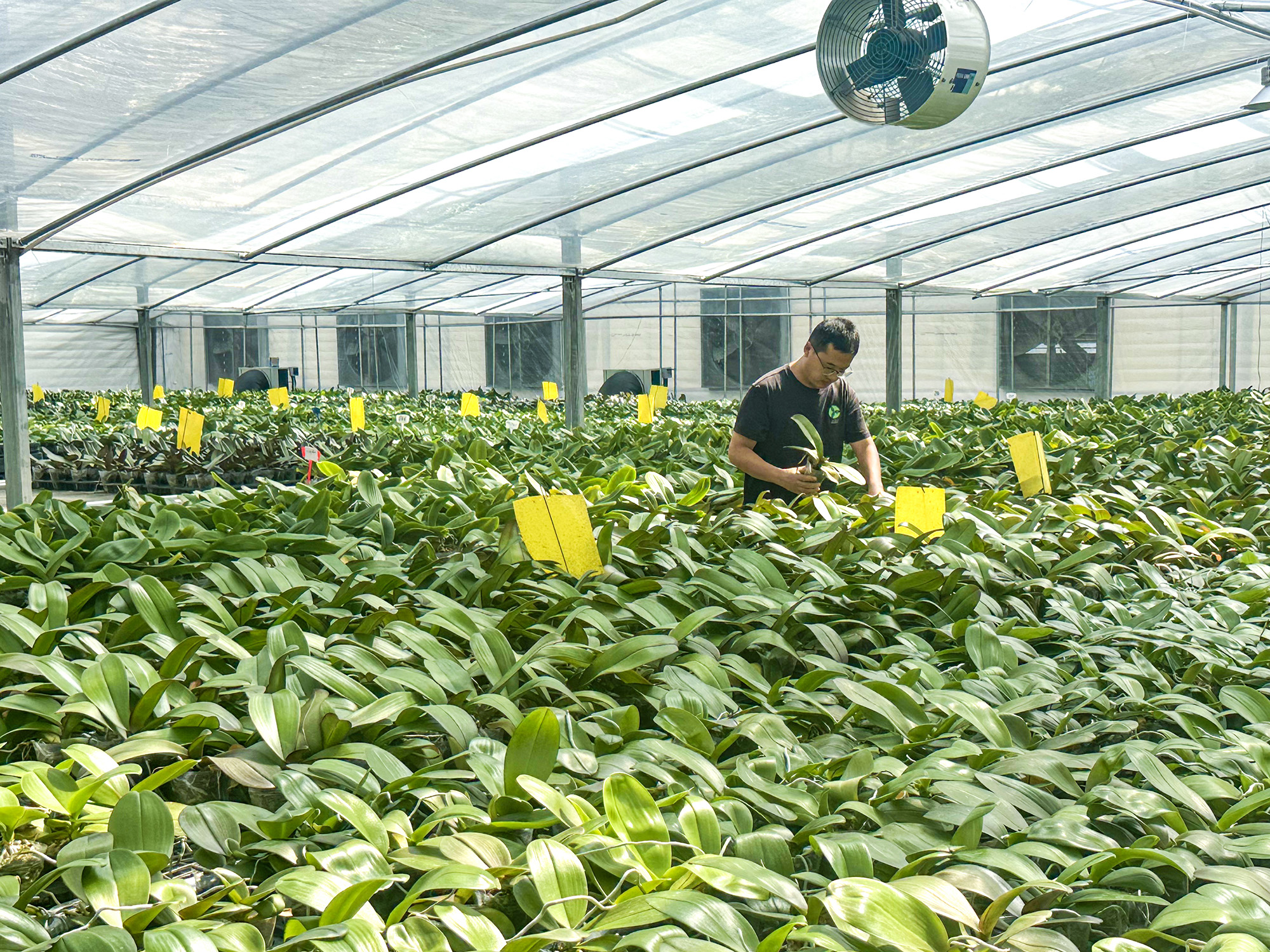 20251002 国庆坚守第一线 履职担当显本色.jpg