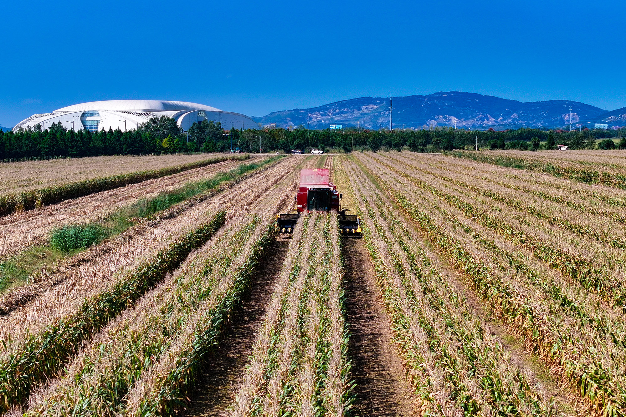 20251009 云台“三秋”战斗全面打响 (2).JPG