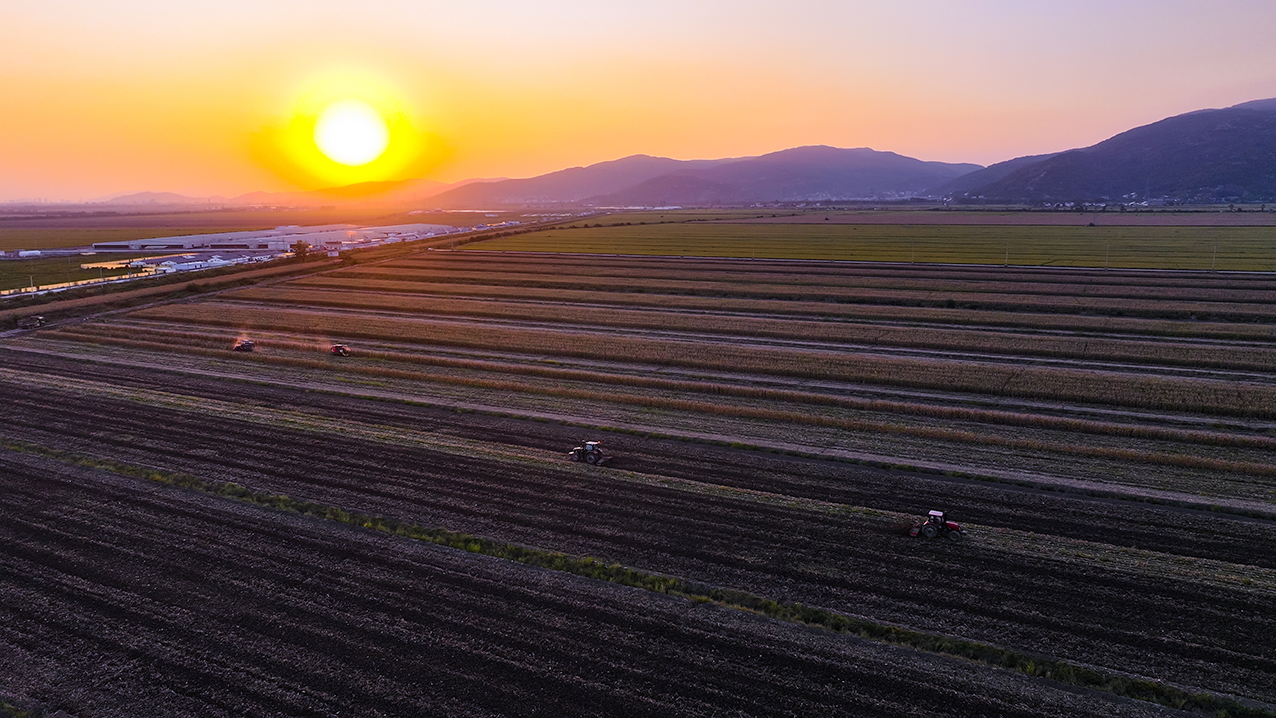 20251010 昼夜不息抢农时 云台农场打响秋收秋种“攻坚战” (2).jpg