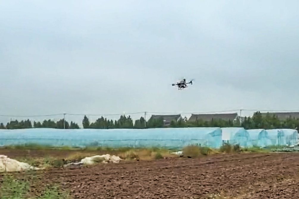 1760400758304071.png 20251013 云台农场无人机“飞播”油菜,尽显科技范儿.png