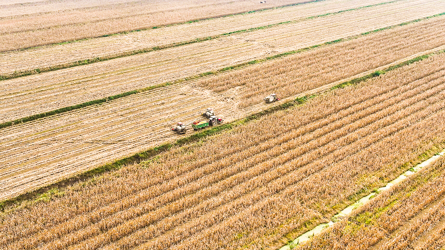 20251017 云台：落实“三个压实”打造“质量三秋”.JPG