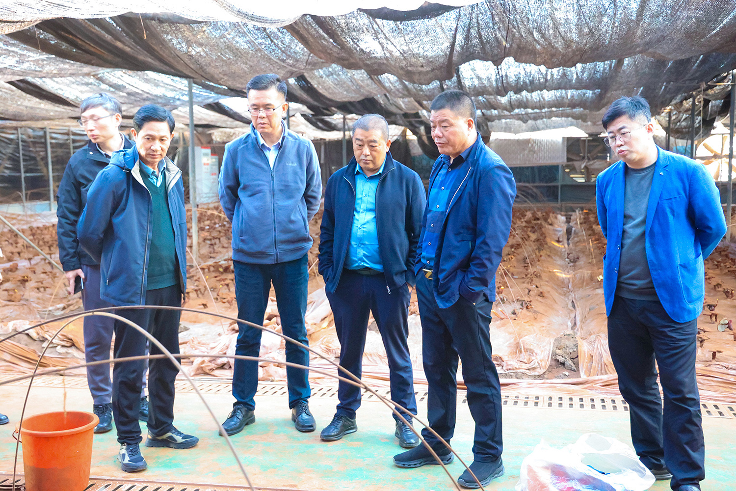 20251023 海州区农业农村局到云台农场开展产业调研.JPG