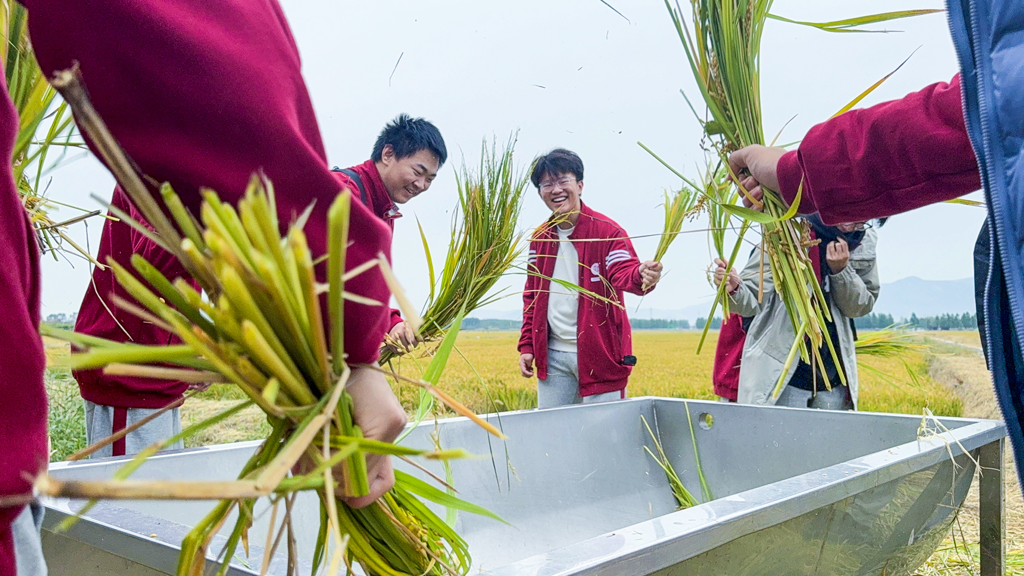 20251026 海州高中来云水湾进行秋日劳动实践.jpg