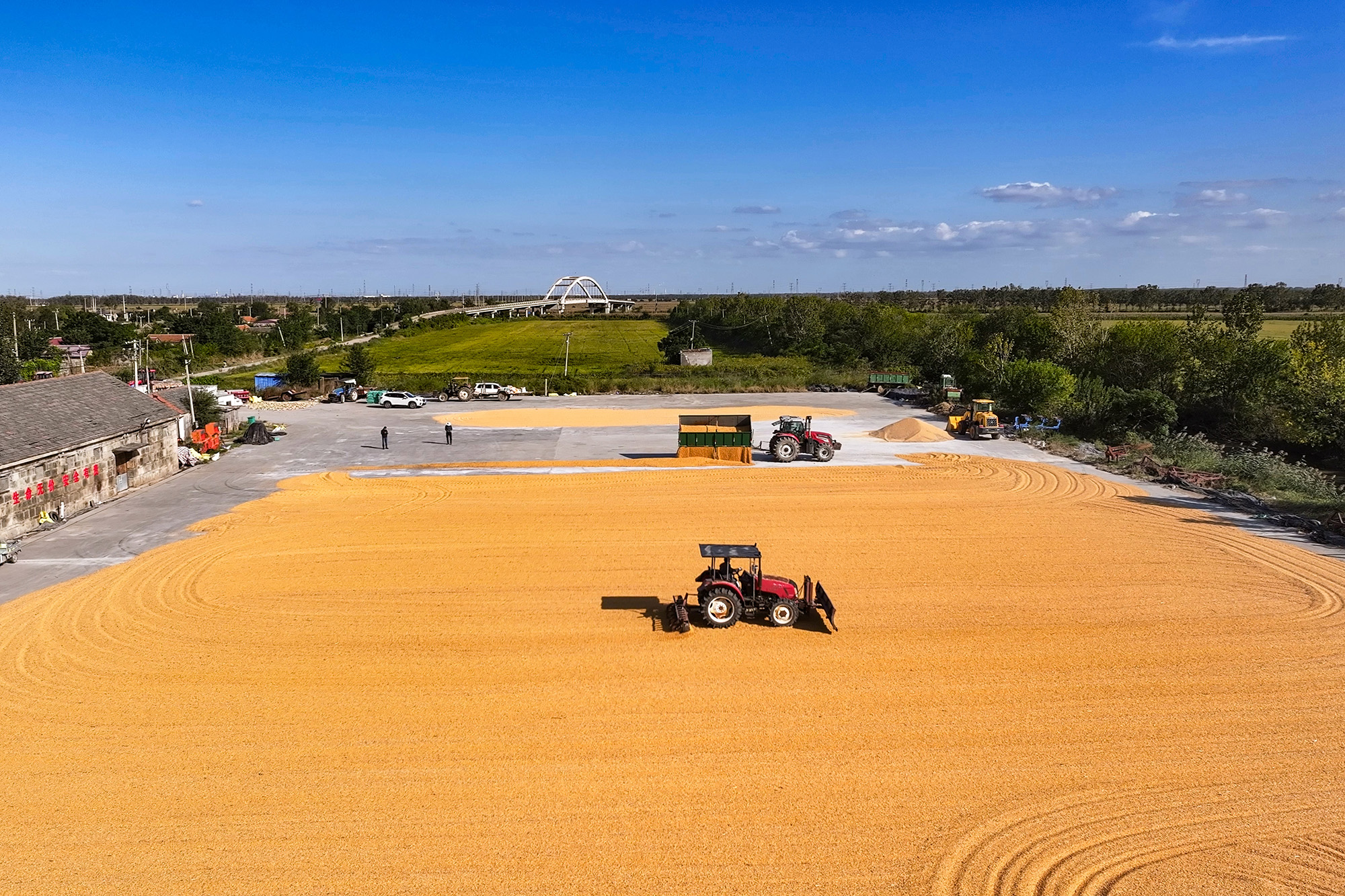 20251103 云台农场秋收工作完成，进度条见证“粮”辰美景 (1).jpg