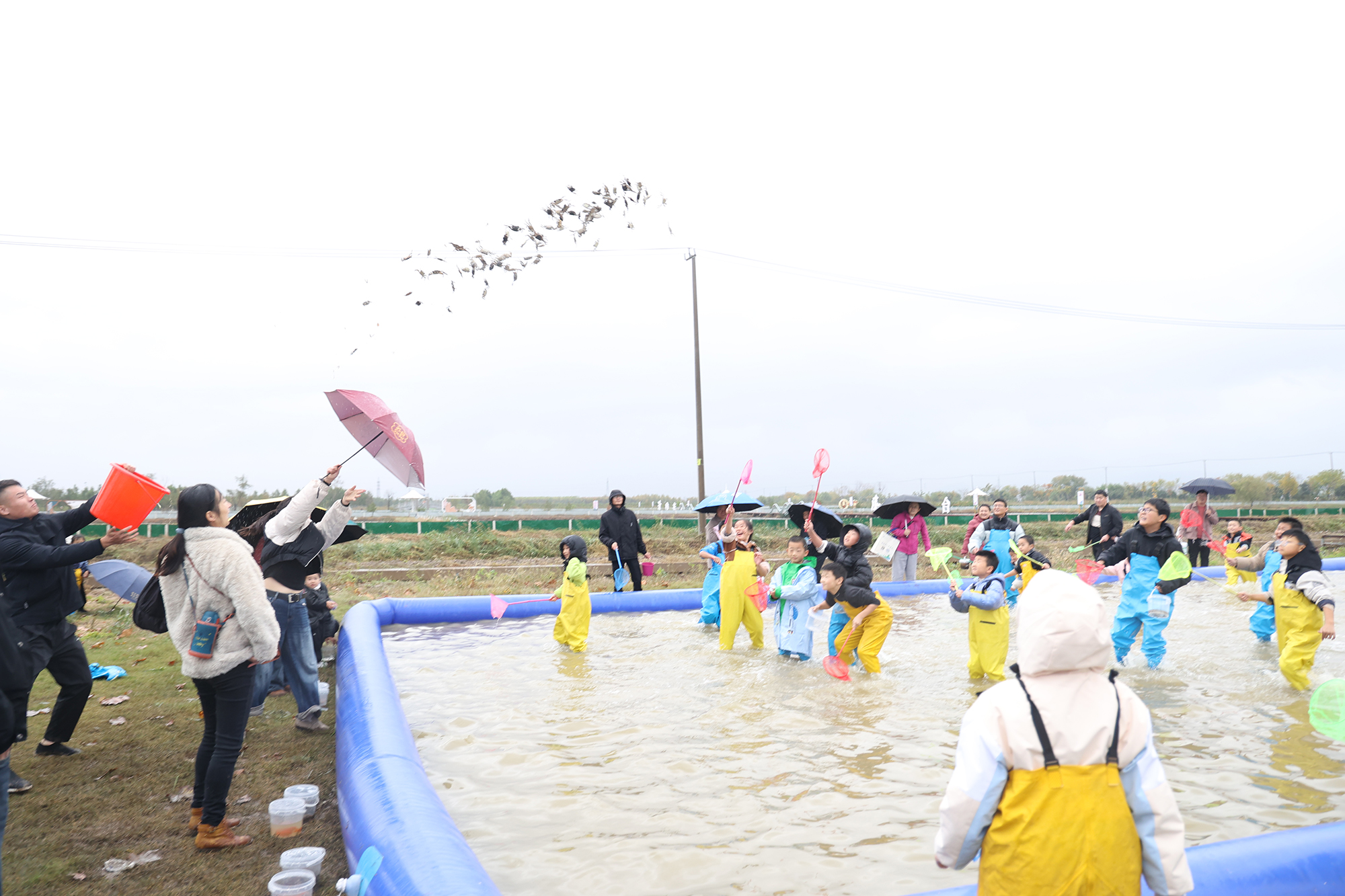 20251108 南瓜奇遇+螃蟹趣玩云水湾秋游季热闹启幕.JPG