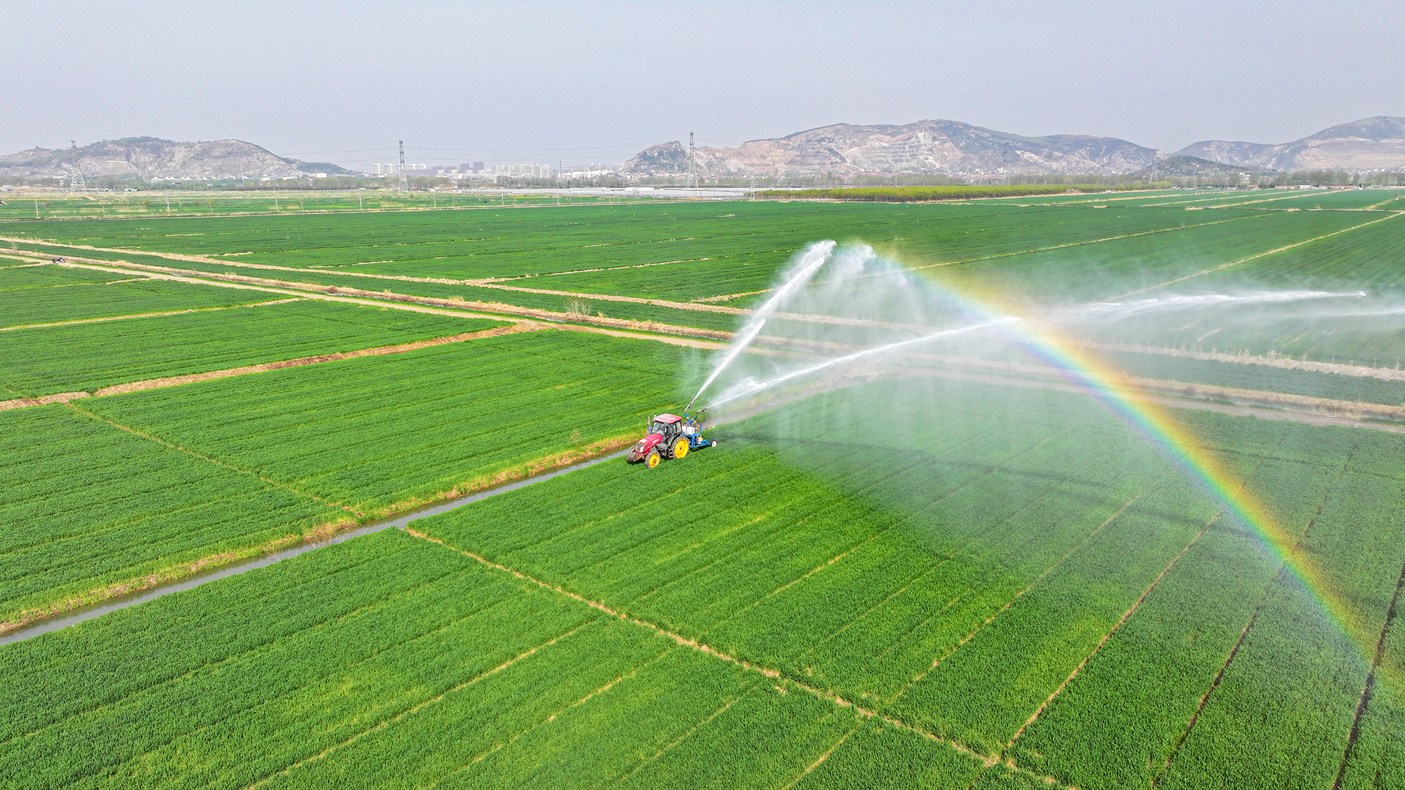 20251212 云台分公司着力加强农产品质量管理体系建设.JPG