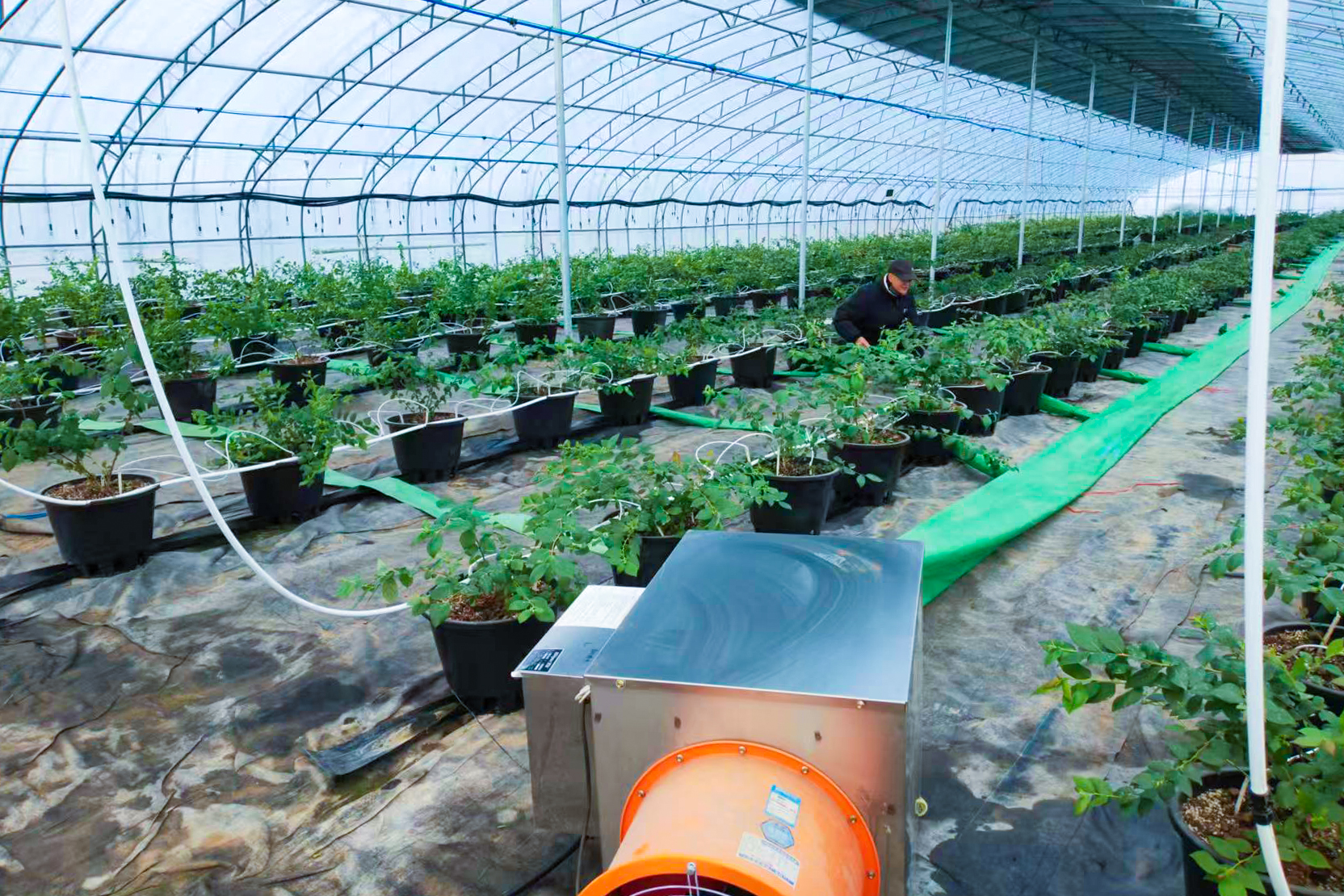 20251211 应对寒潮 云水湾全力守护.jpg