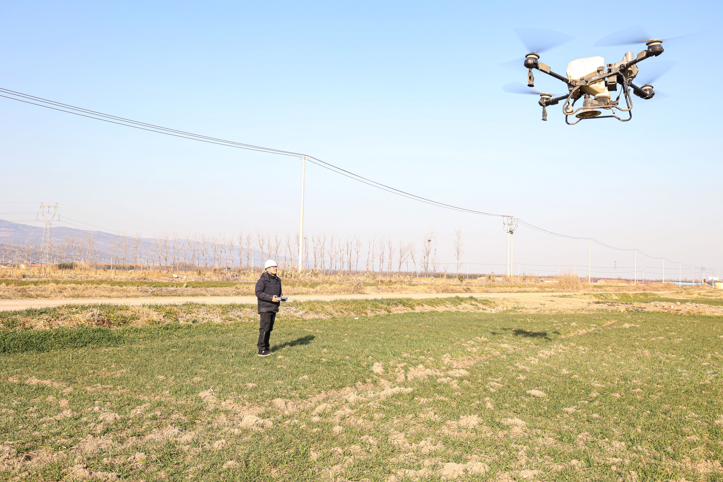 苏垦农发云台分公司机关第二党支部：党建赋能粮食稳产增效 (1).jpg