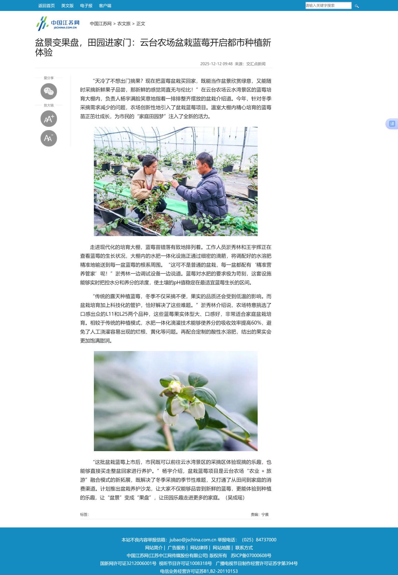 12.12吴成瑶-中国江苏网 盆景变果盘，田园进家门：云台农场盆栽蓝莓开启都市种植新体验.png