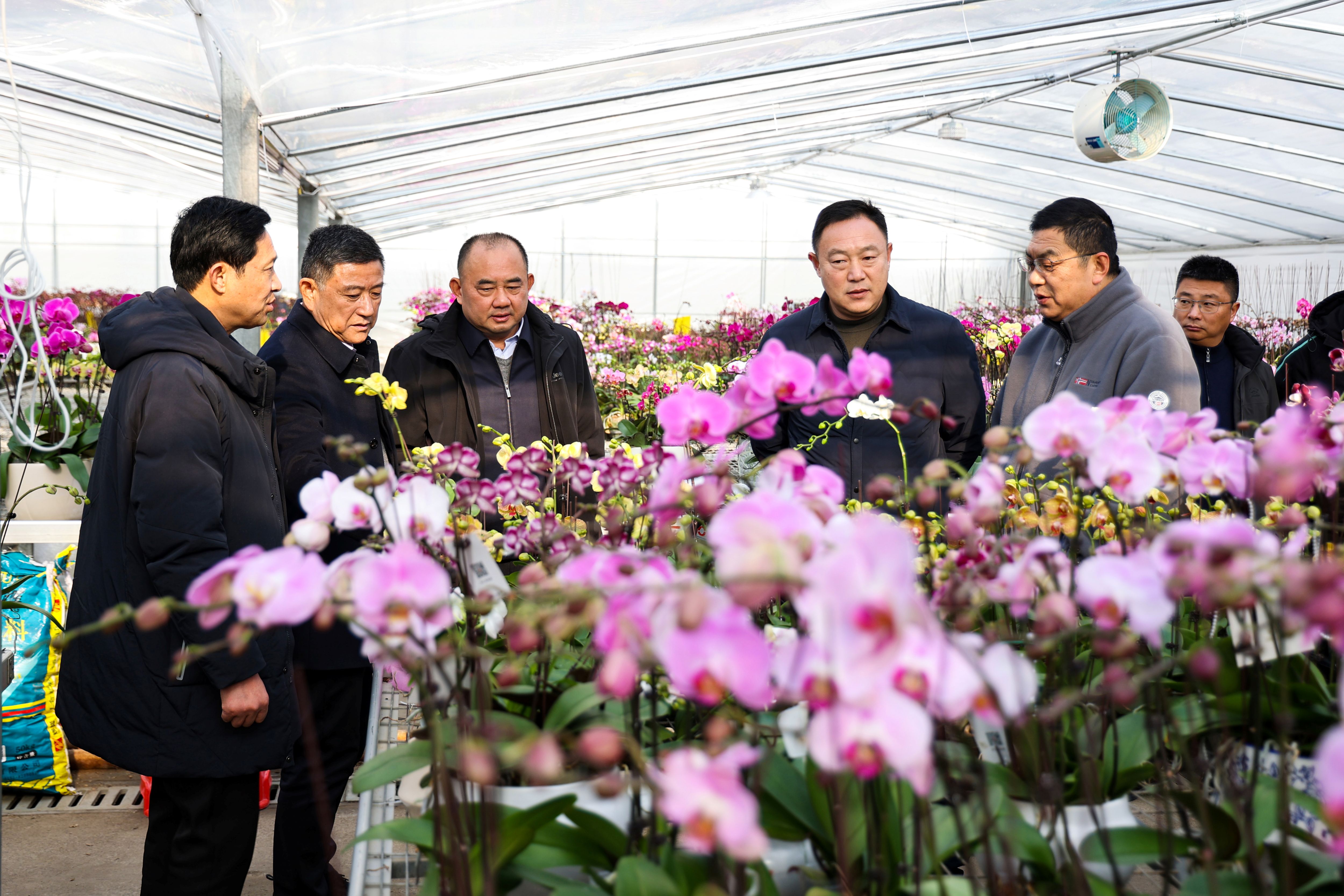 1768178174607773.jpg 20260108 淮海农场一行来云台农场参观调研 (1).JPG