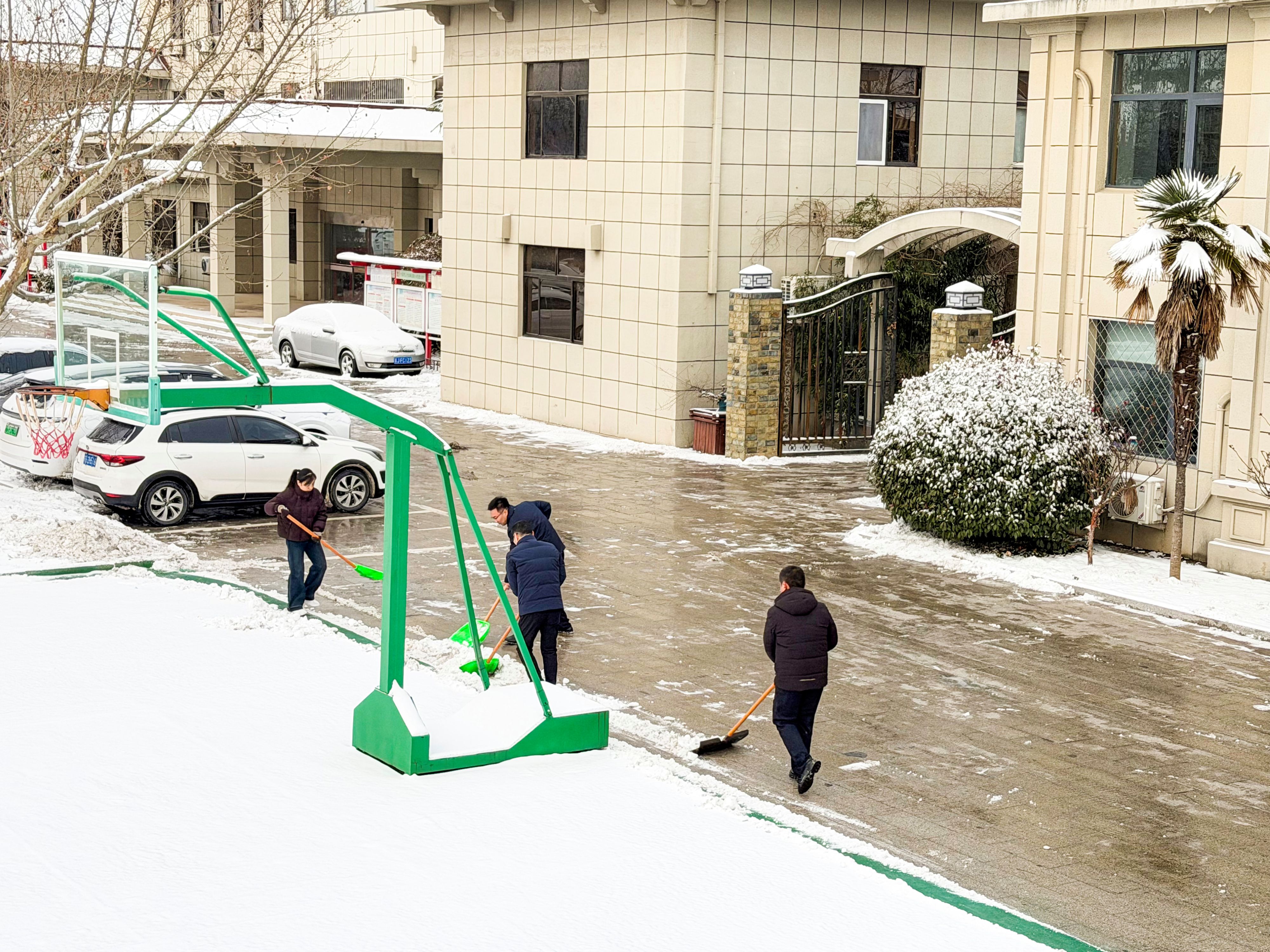 20260120 云台农场：战风雪斗严寒 全力以赴保民生护安宁.jpg