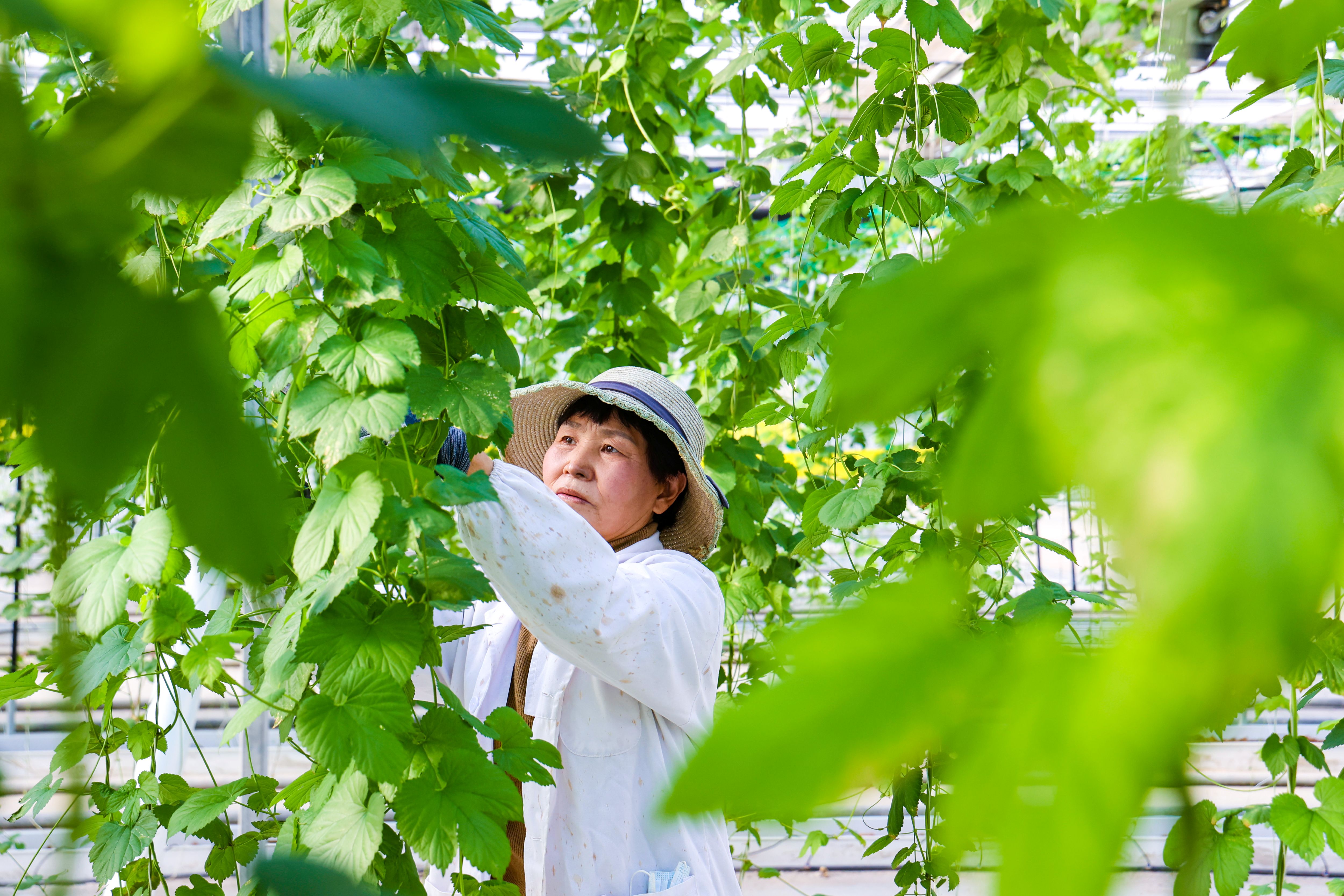 20260202 农业“冬闲”在这里破解.JPG