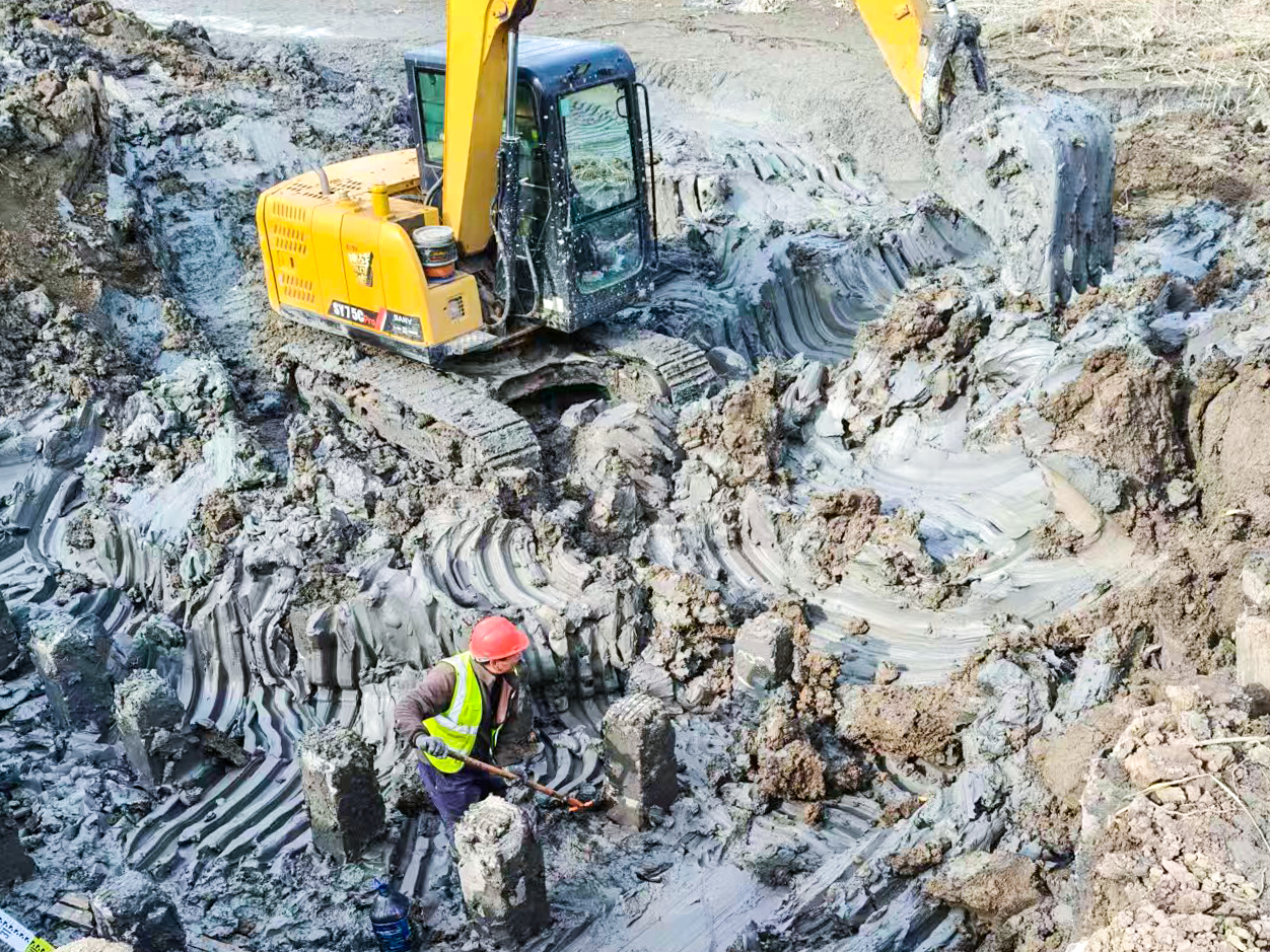 20260206 冬季农闲施工忙 云台农场高标准农田建设“热”潮涌动 (1).jpg