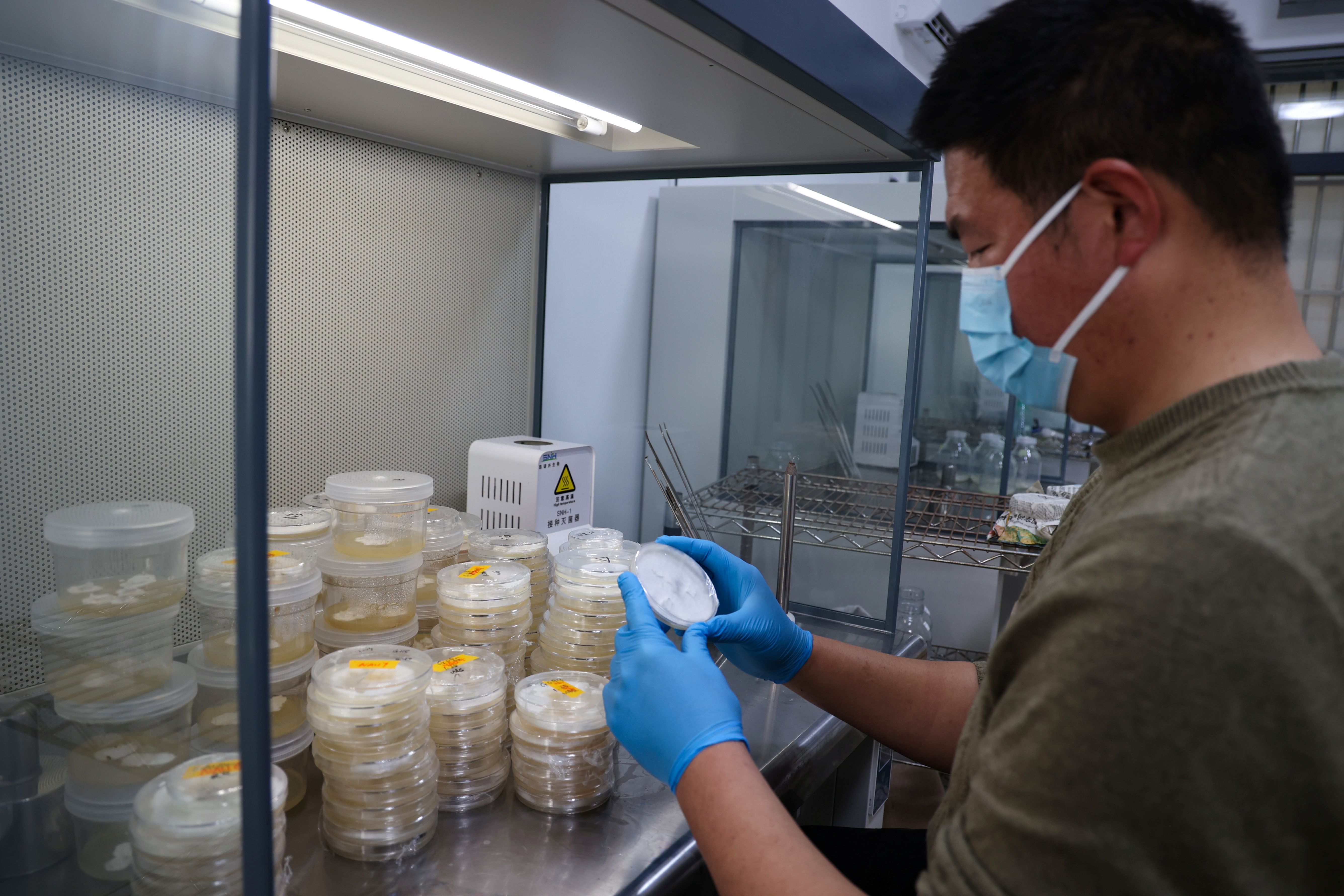 20260226 云台：春耕备耕育灵芝“仙草” (2).JPG