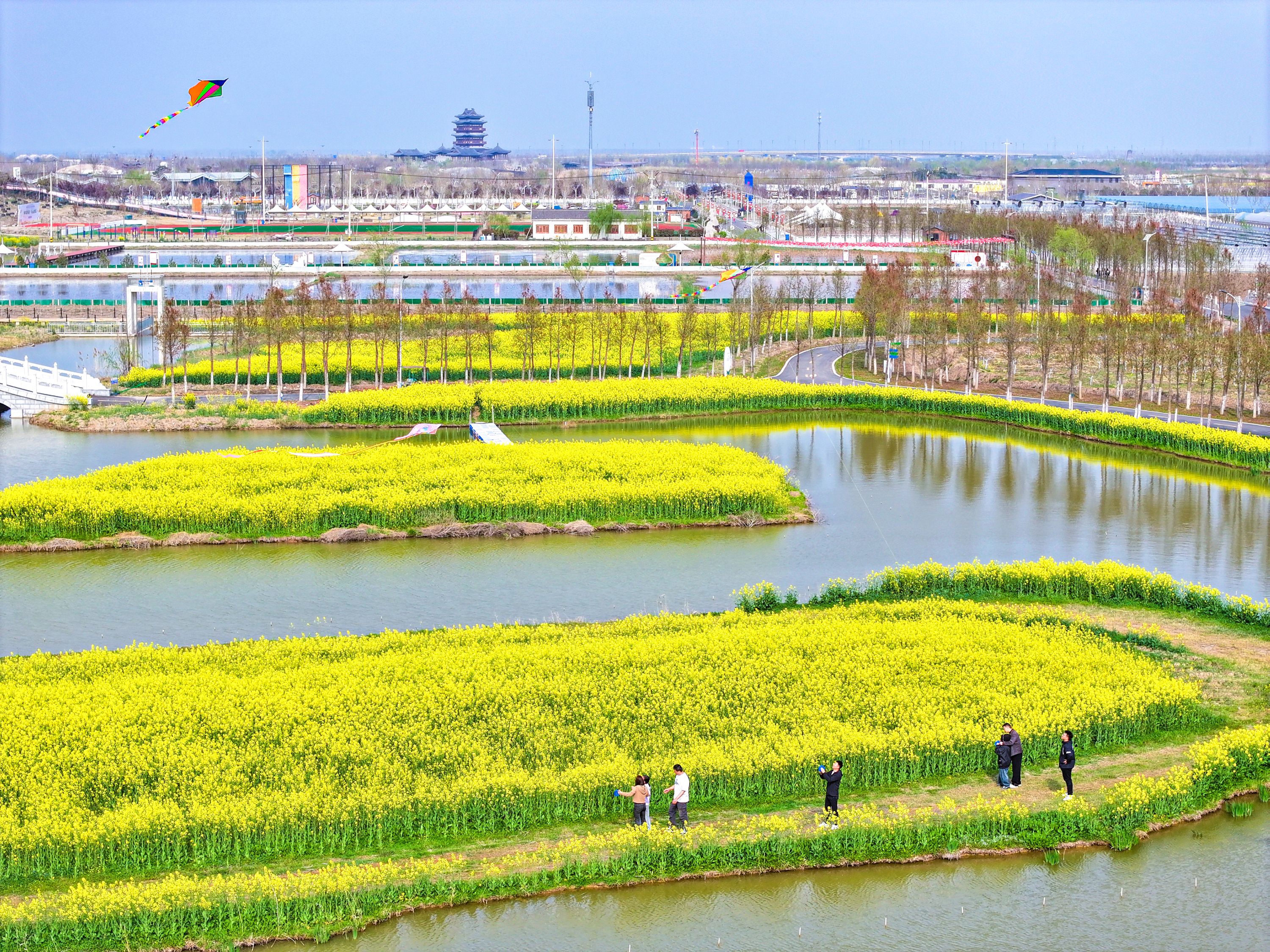 20260420 云台农场打造农旅融合新名片 (1).jpg