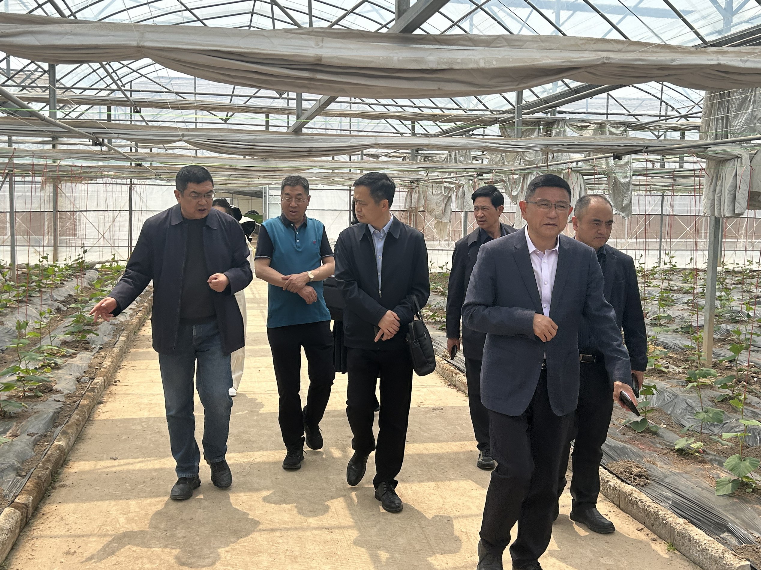 20260417 连云港中医药学校来云台开展产业考察交流.jpg