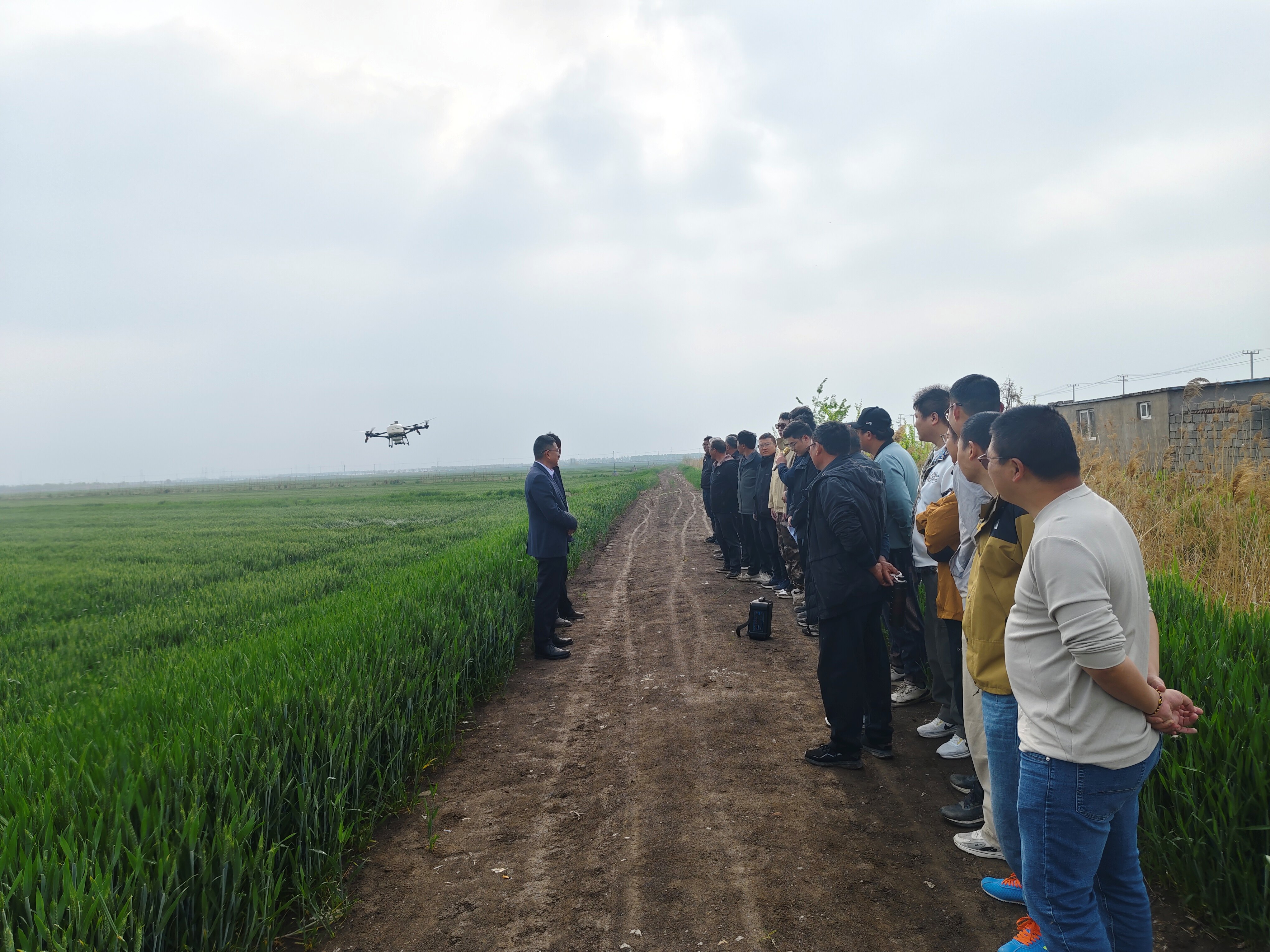20260420 抓实小麦赤霉病防治 夯实小麦丰收根基 (4).jpg