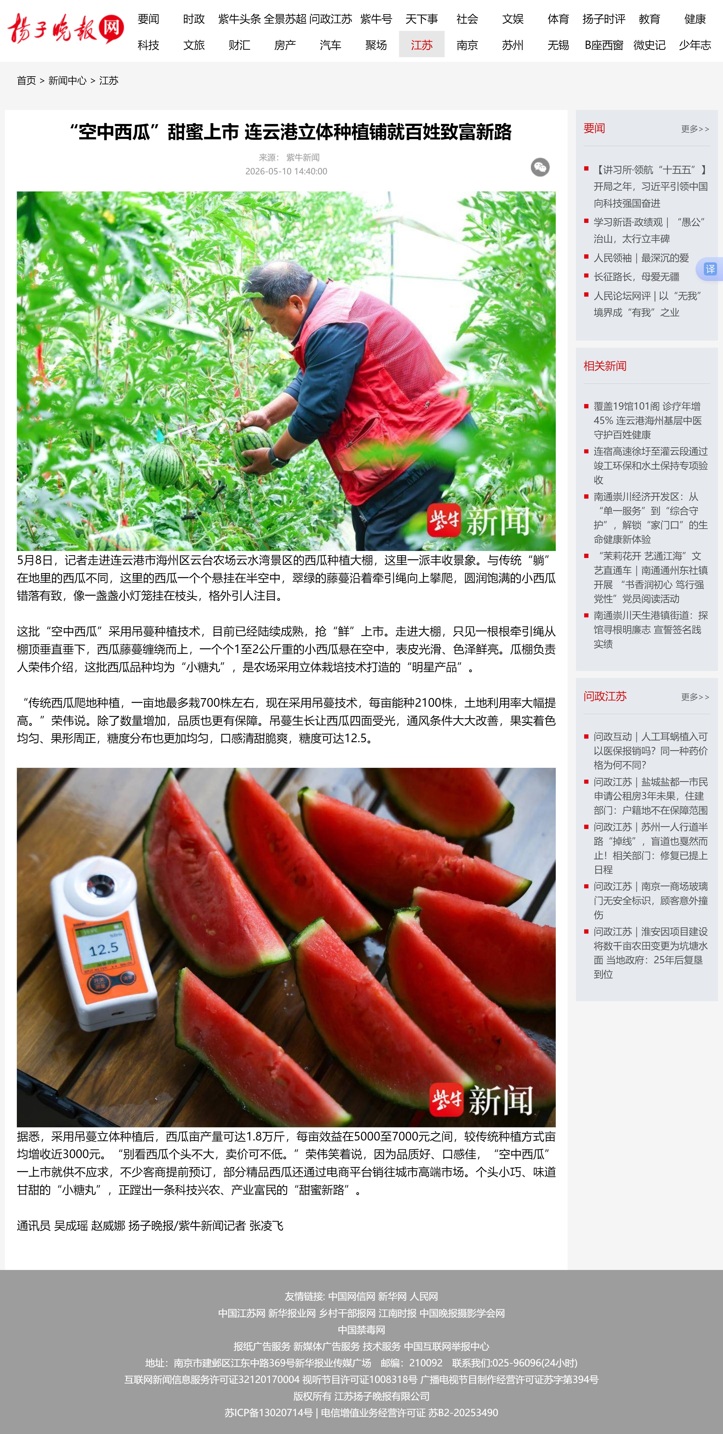 5.10吴成瑶-扬子晚报网 “空中西瓜”甜蜜上市 连云港立体种植铺就百姓致富新路.jpg