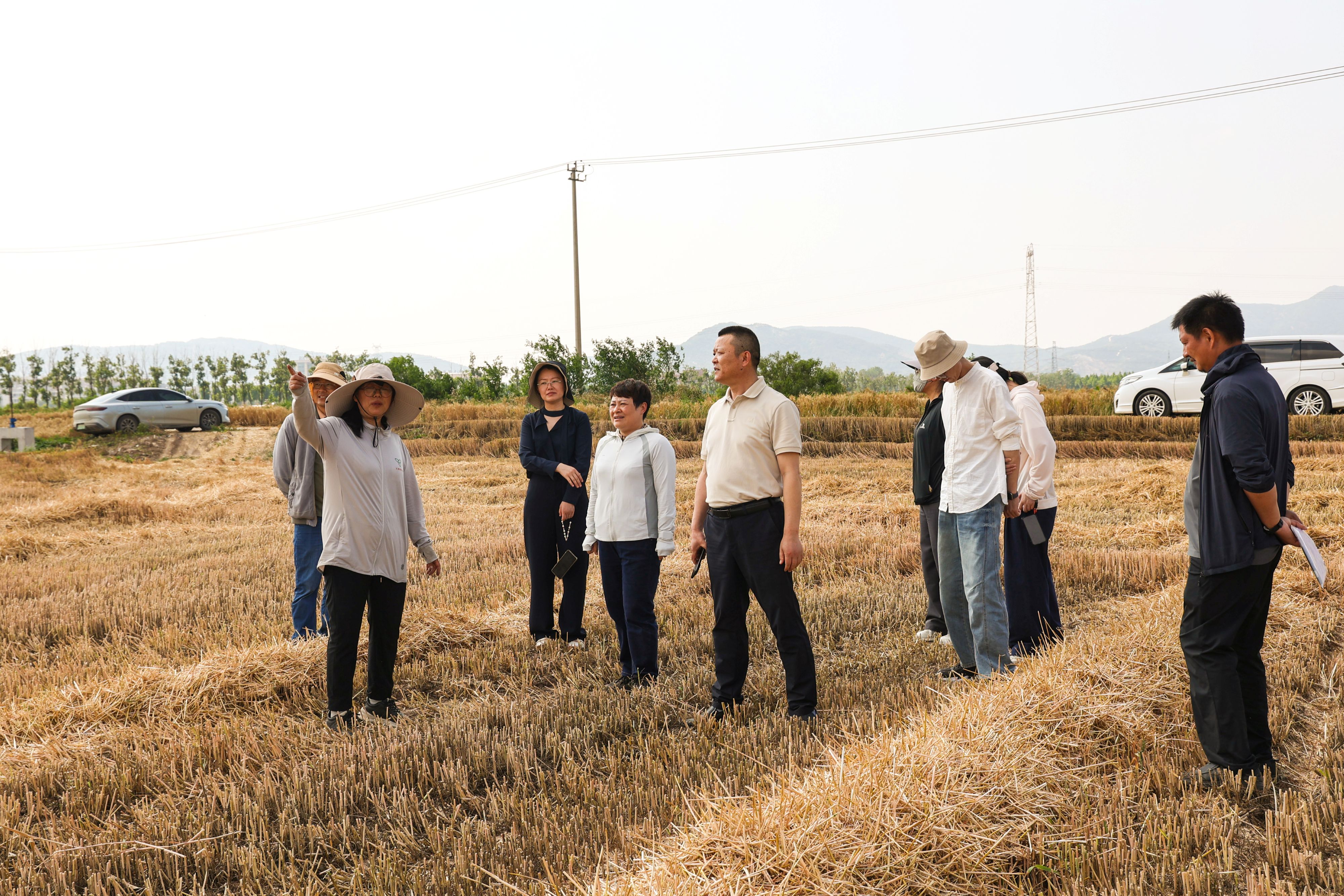20260605 云台农场：以专项交叉监督 筑牢三夏安全廉洁防线（定稿）公众号 (2).JPG
