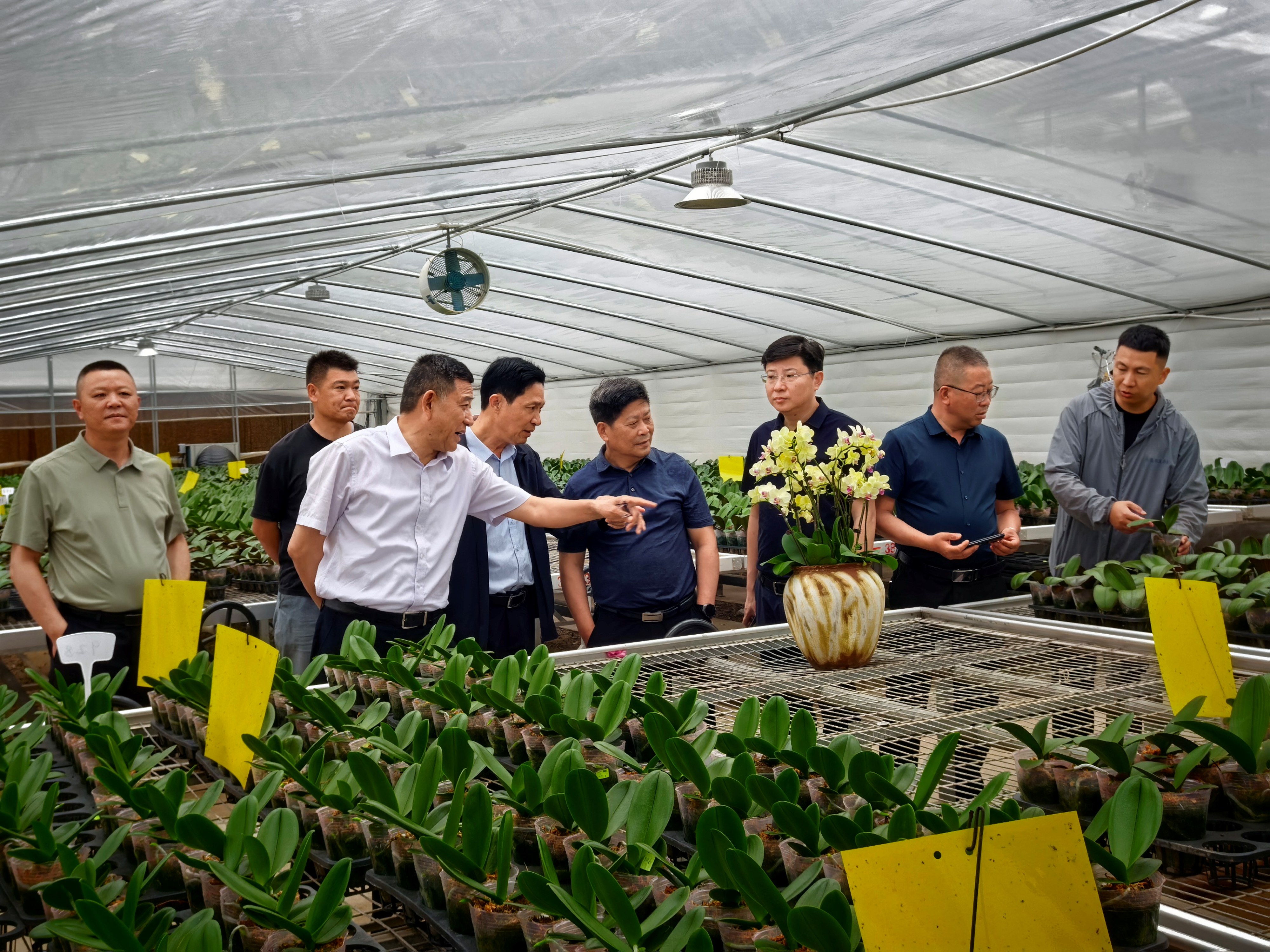 20260622 白马湖农场到云台考察学习.jpg