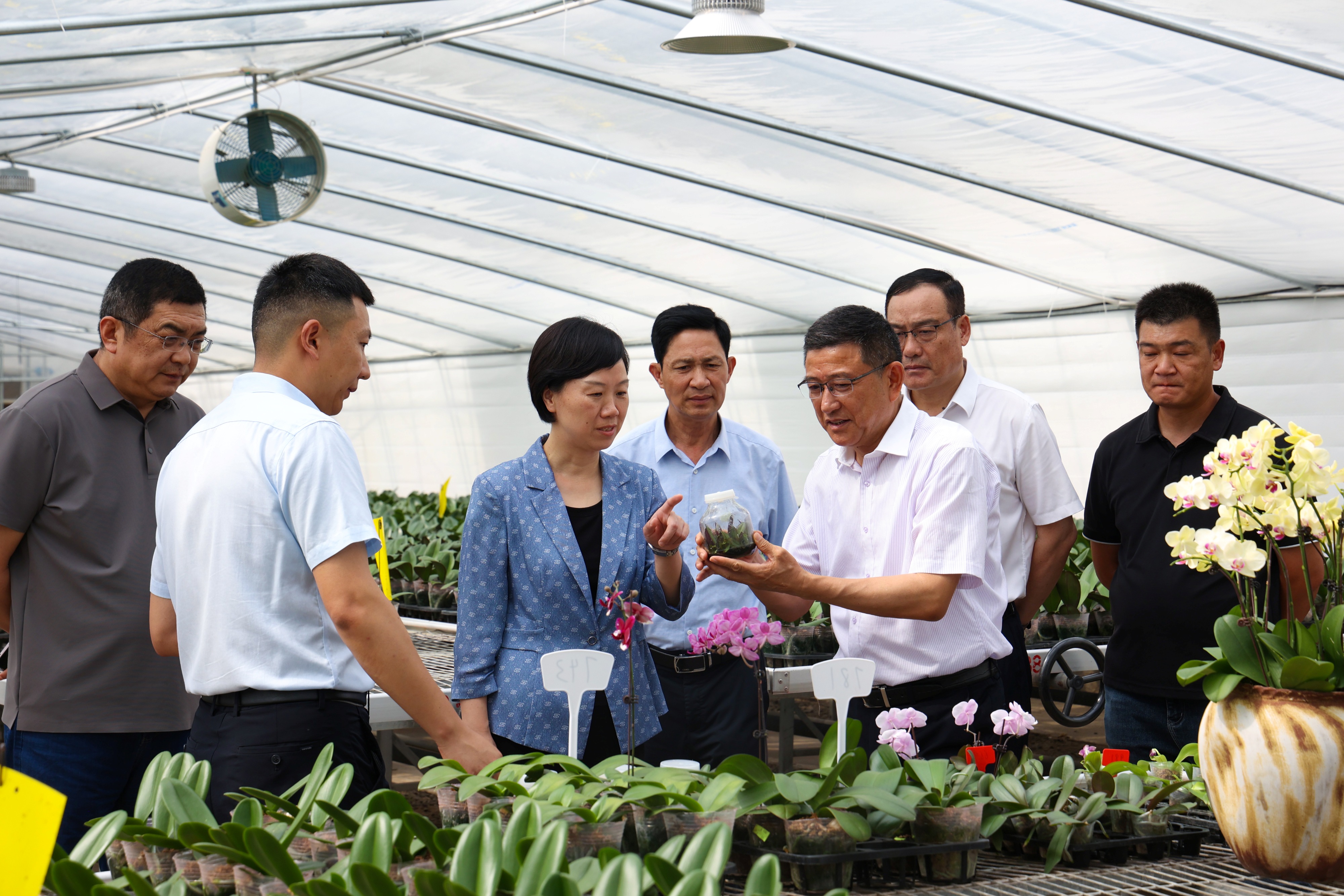 20260623 连云港市领导调研云台农场特色作物及农业设施建设 (2).JPG