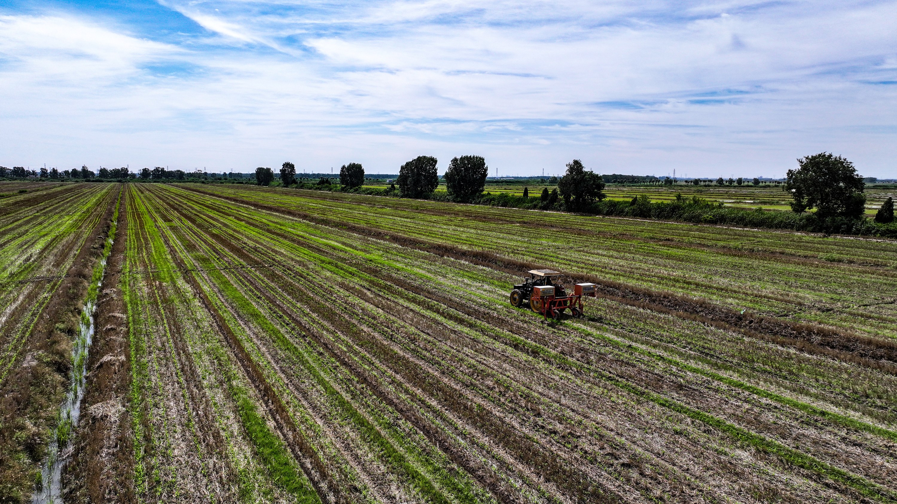 DJI_20260626093707_0021_D.JPG