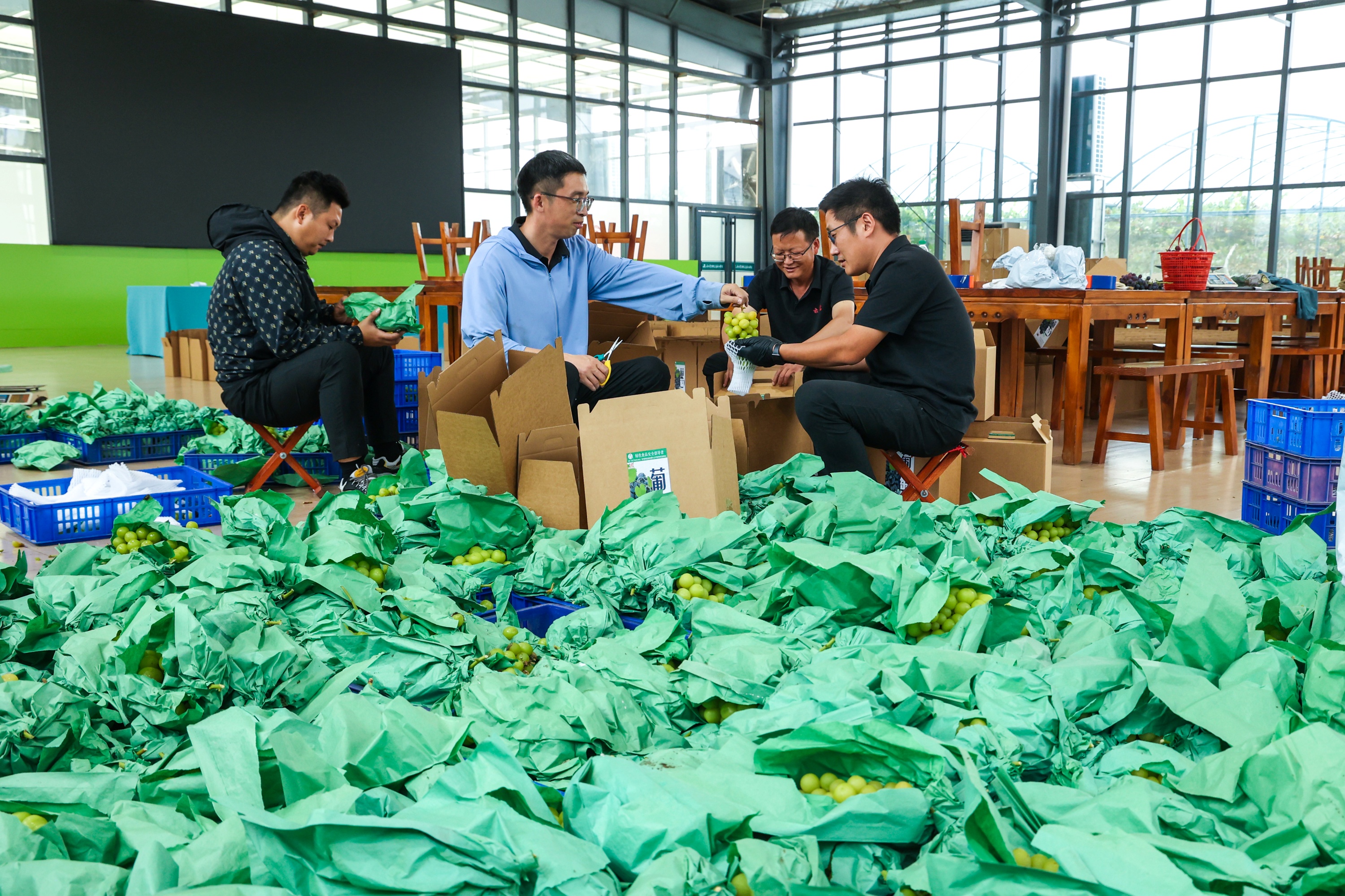 1789711680820816.jpg 20260918 云水湾全员上阵 绿色鲜果礼盒抢“鲜”迎中秋.JPG