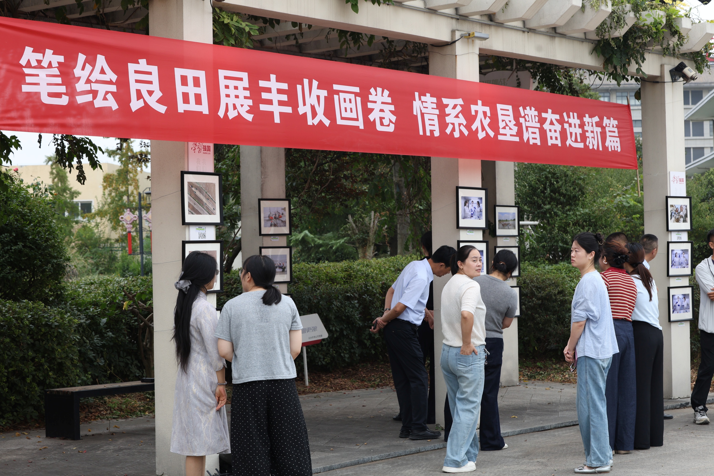 20260924 江苏农垦“画与话”职工优秀作品巡展走进云台农场.JPG