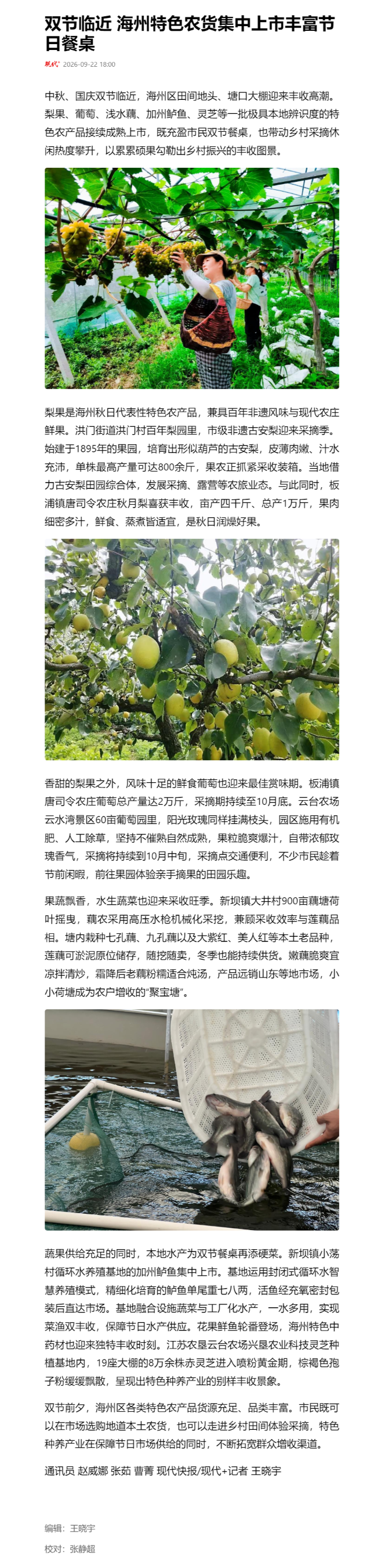 9.22曹菁-现代快报网 双节临近 海州特色农货集中上市丰富节日餐桌.png