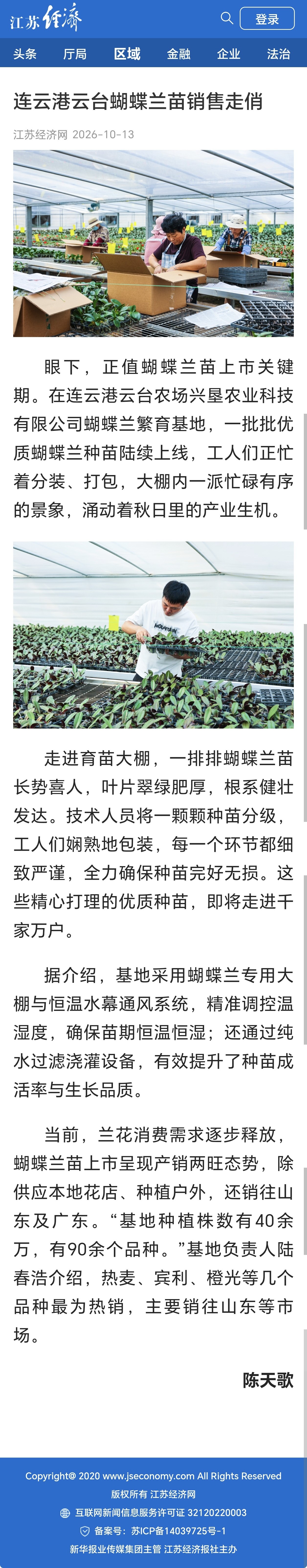 10.13 陈天歌-江苏经济网 连云港云台蝴蝶兰苗销售走俏 - 副本.jpg